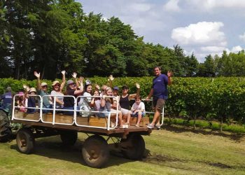 Cuatro generaciones cosechando buen vino en un lugar privilegiado