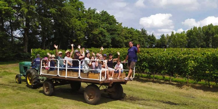 Cuatro generaciones cosechando buen vino en un lugar privilegiado