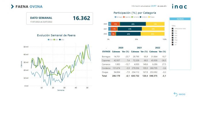 El año ganadero cerró con más de 1,3 millones de ovinos faenados