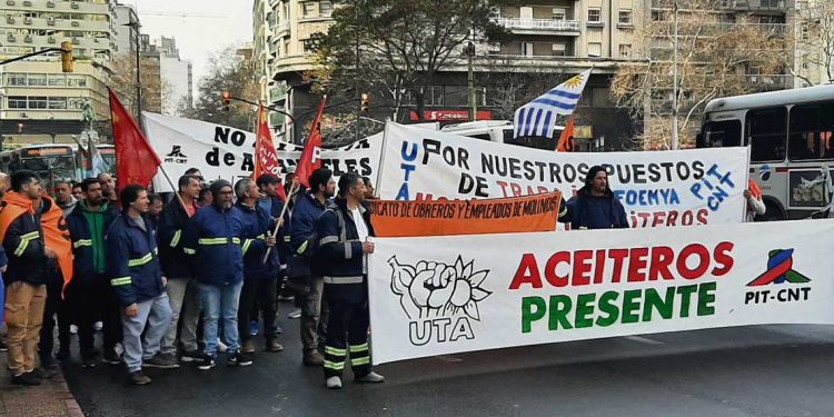 Trabajadores y empresas molineras presentaron recurso de amparo