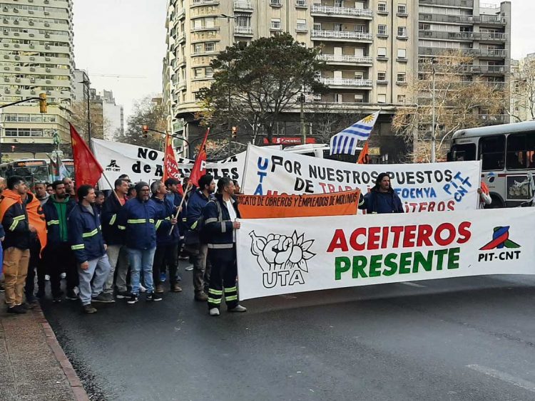 Trabajadores y empresas molineras presentaron recurso de amparo
