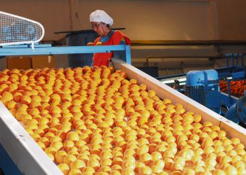 Dificultades y certezas que trajo la llegada de Frutura a Uruguay