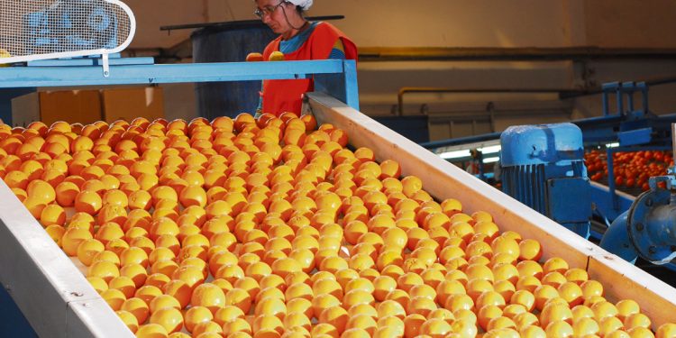 Dificultades y certezas que trajo la llegada de Frutura a Uruguay