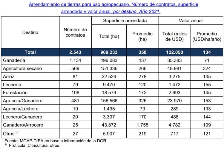 Precios promedio de arrendamientos aumentaron un 25% respecto al año anterior según informe de DIEA