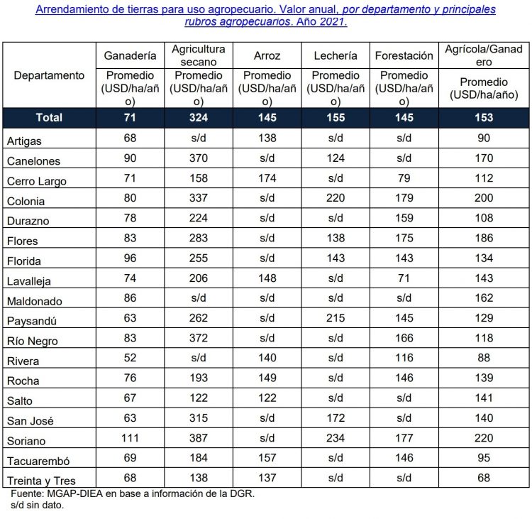 Precios promedio de arrendamientos aumentaron un 25% respecto al año anterior según informe de DIEA