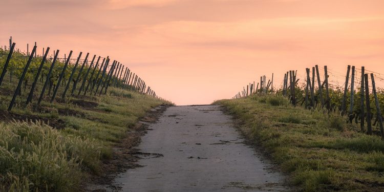 Precios promedio de arrendamientos aumentaron un 25% respecto al año anterior según informe de DIEA