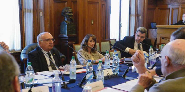 Visto bueno de la coalición y organizaciones familiares para aprobar la tenencia compartida