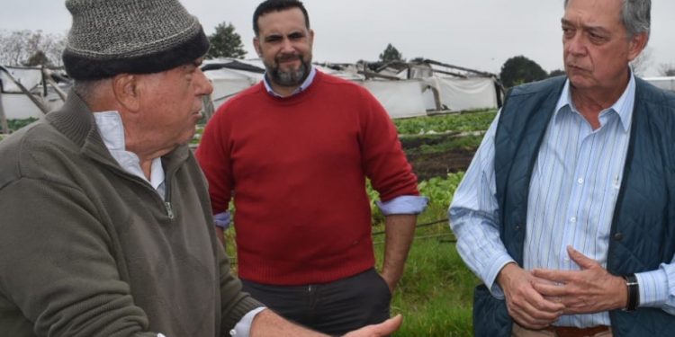 Fue declarada la emergencia agropecuaria en Paysandú