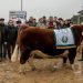 Comenzó Palermo, con la presencia de jurado uruguayo