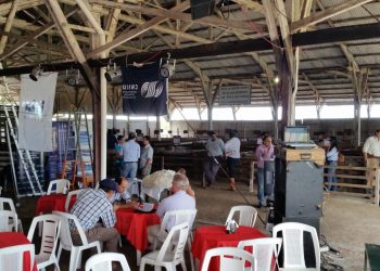 El martes 19 será el lanzamiento de la segunda edición de Crilu