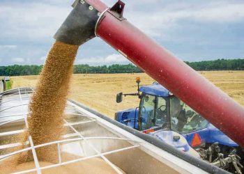 Morixe: Hay un cambio de postura ante la guerra entre Rusia y Ucrania