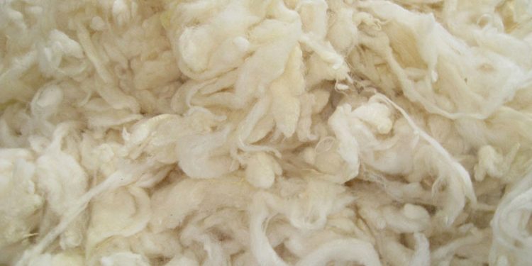 En el mercado internacional de lanas, el nuevo comienzo de zafra tuvo precios a la baja