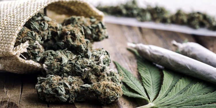 La ciencia mal usada y el retorno de las amebas cannábicas