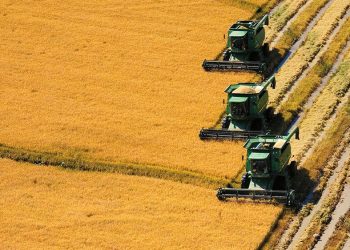 Asamblea de ACA votó por unanimidad su desacuerdo sobre el precio del arroz