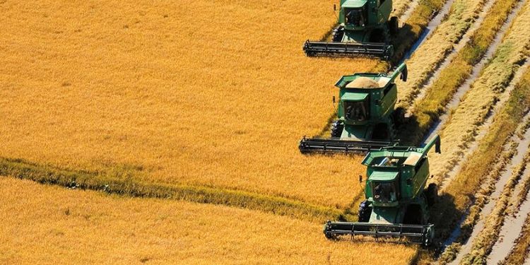 Asamblea de ACA votó por unanimidad su desacuerdo sobre el precio del arroz
