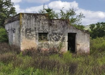 Uruguay es uno de los países con menor población rural en el mundo