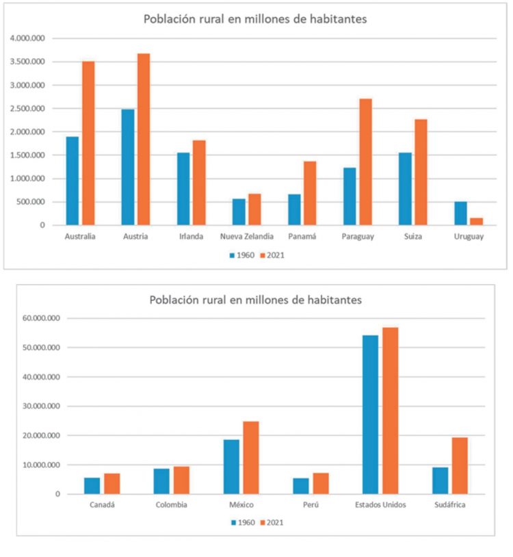 Gorostidi: Los arándanos se deben pensar como producto de exportación