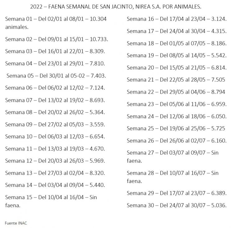 Frigorífico San Jacinto faena 450 ovinos por hora