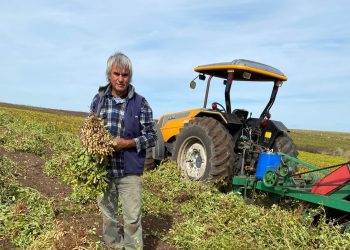 Artigas Rivero: “Trabajo el maní desde hace 46 años, y lo hago con orgullo”