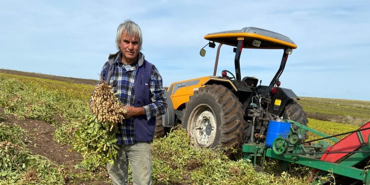Artigas Rivero: “Trabajo el maní desde hace 46 años, y lo hago con orgullo”