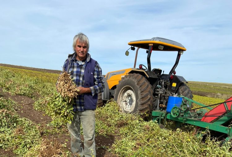 Artigas Rivero: “Trabajo el maní desde hace 46 años, y lo hago con orgullo”