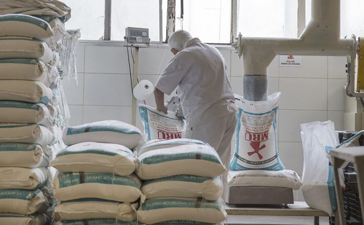 Justicia desestimó recurso de molineros afectados por la rebaja de aranceles a productos argentinos