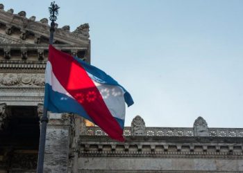 Oposición, democracia y política