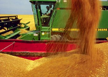 Para cubrir los costos se deben lograr “rendimientos similares o superiores a la zafra pasada