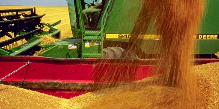 Para cubrir los costos se deben lograr “rendimientos similares o superiores a la zafra pasada