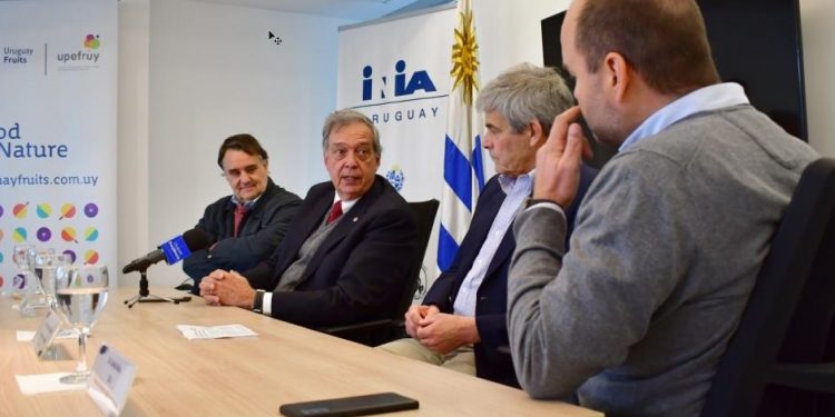 Uruguay evalúa cítricos generando materiales relevantes para la citricultura mundial
