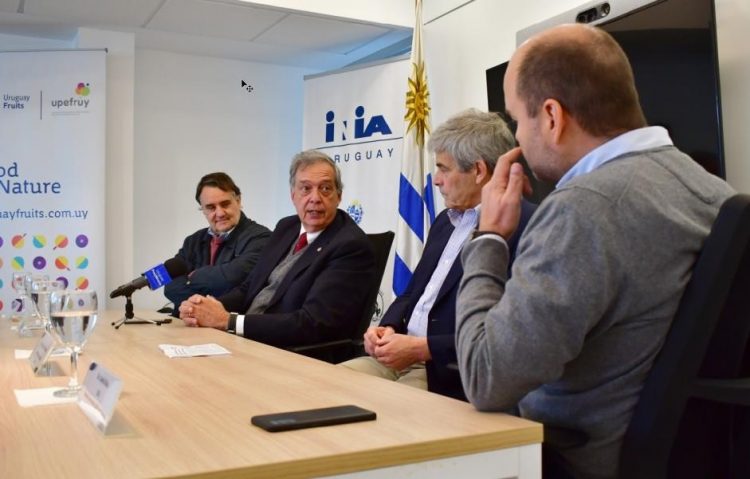 Uruguay evalúa cítricos generando materiales relevantes para la citricultura mundial