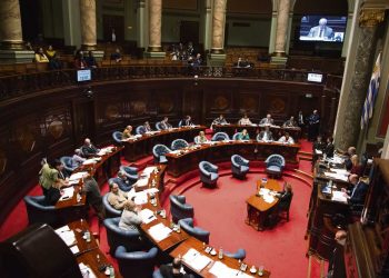 Con votos de la coalición se aprobó el proyecto de tenencia compartida en Senadores