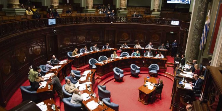 Con votos de la coalición se aprobó el proyecto de tenencia compartida en Senadores