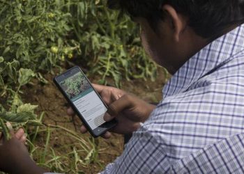 India: desarrollo económico con ciencia aplicada al agro