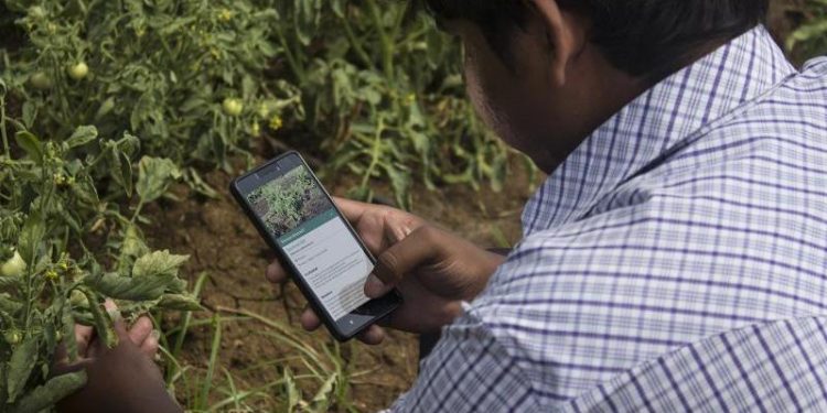 India: desarrollo económico con ciencia aplicada al agro