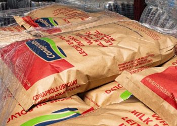 Las exportaciones lácteas en el año aumentaron a US$ 490,2 millones