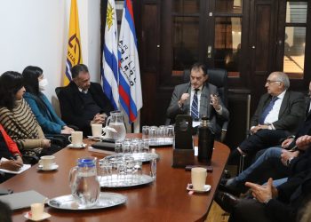 Mesa Política de Cabildo Abierto abordó rendición de cuentas y reforma previsional