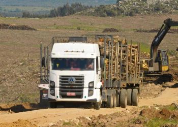 Polémica sobre caminería rural