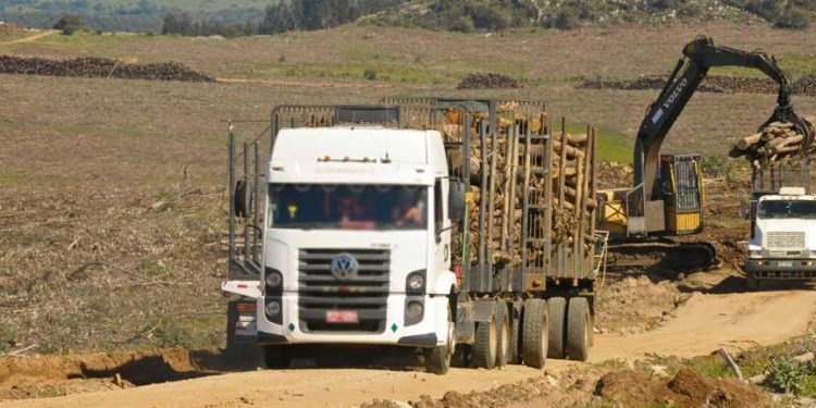 Polémica sobre caminería rural