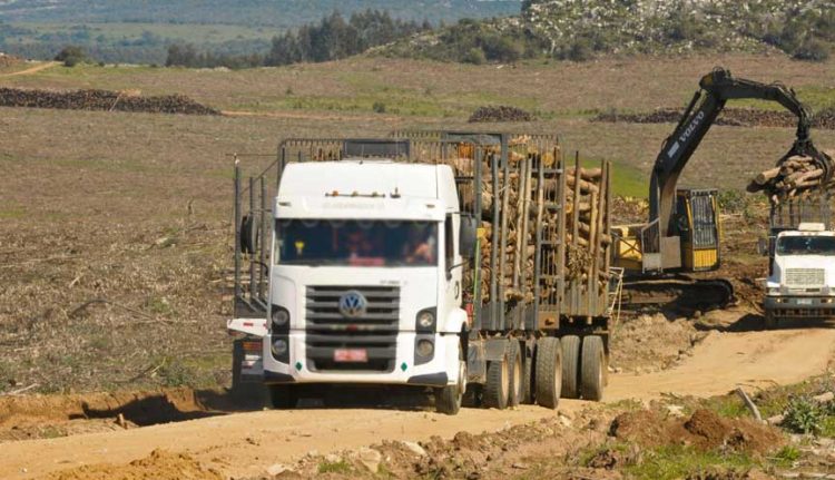 Polémica sobre caminería rural