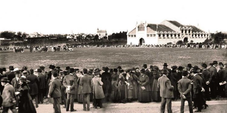 Historias de la Expo Prado
