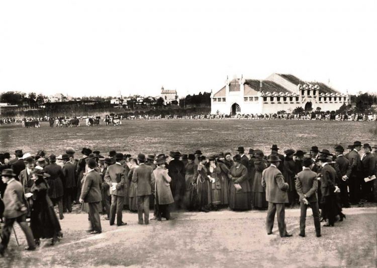 Historias de la Expo Prado