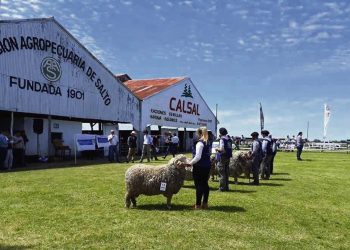 Comienza una gran Expo Salto con muy buen nivel de animales