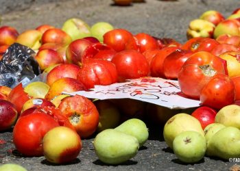El 29 de setiembre se celebra el Día Internacional para revertir la pérdida y el desperdicio de alimentos