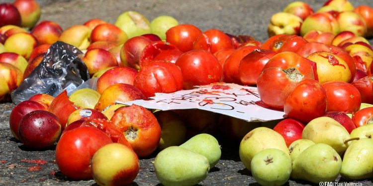 El 29 de setiembre se celebra el Día Internacional para revertir la pérdida y el desperdicio de alimentos