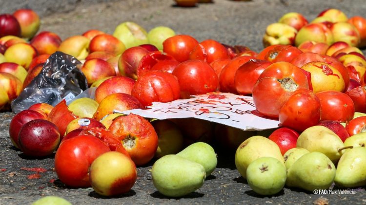 El 29 de setiembre se celebra el Día Internacional para revertir la pérdida y el desperdicio de alimentos