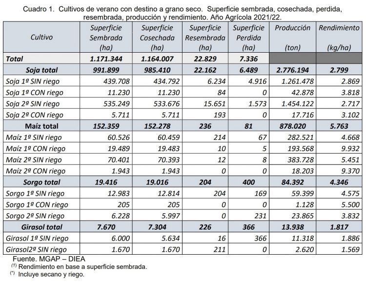 Encuesta de DIEA: Sigue creciendo el área de la colza