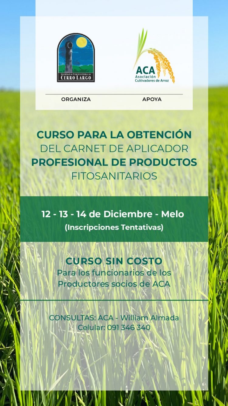 Intención de siembra de arroz para la próxima zafra es de 159.700 hectáreas