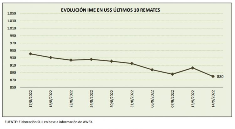 Continúa en baja el precio de la lana, cerró la semana a US$ 8,80