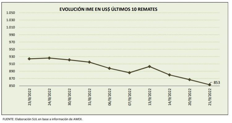 La lana sigue buscando un piso mientras continúa cayendo